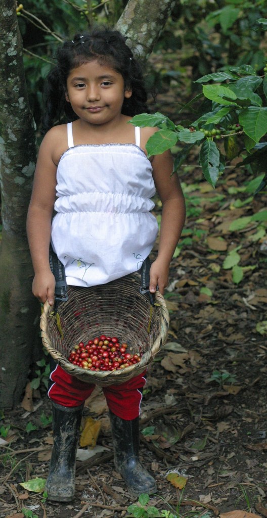 Hopefully you get to pick coffee/play hide and seek in the cafetales with someone as cute as Dariela