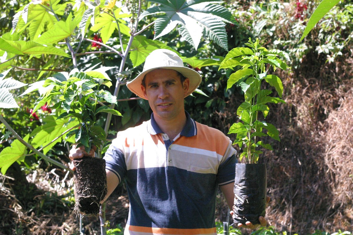 Displaying unique varietals he developed