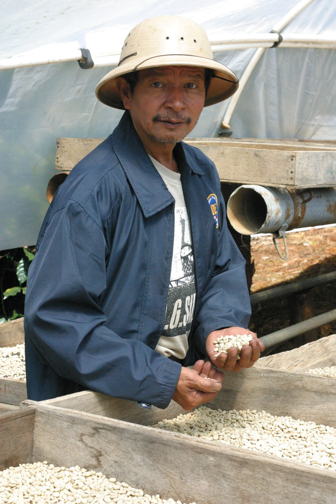 Don Tito, the man behind the miracle