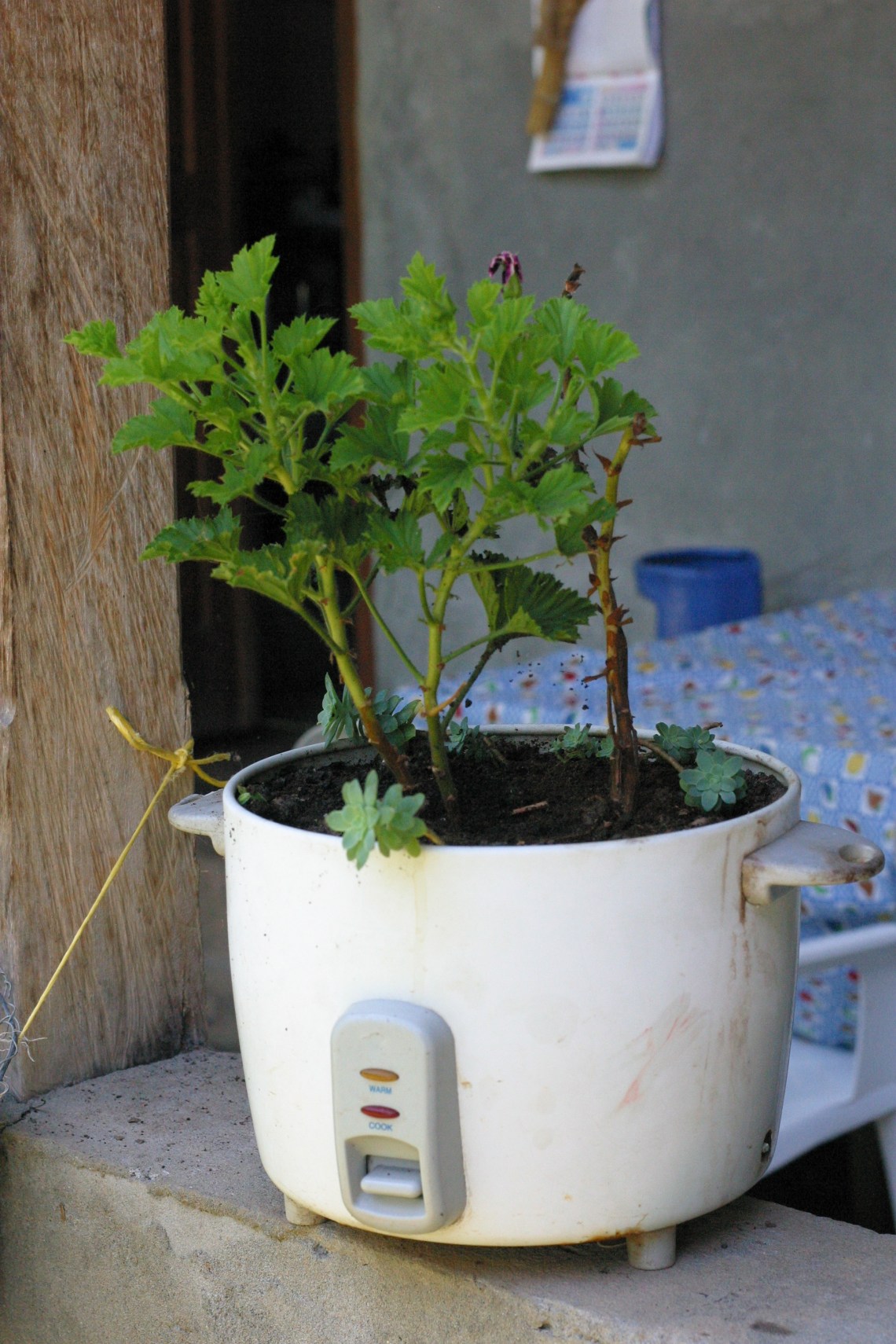 Probably my favorite reuse 