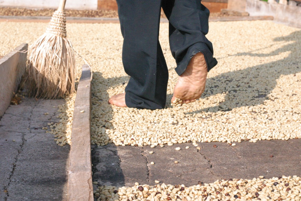 Sun drying coffee on the rooftop patio
