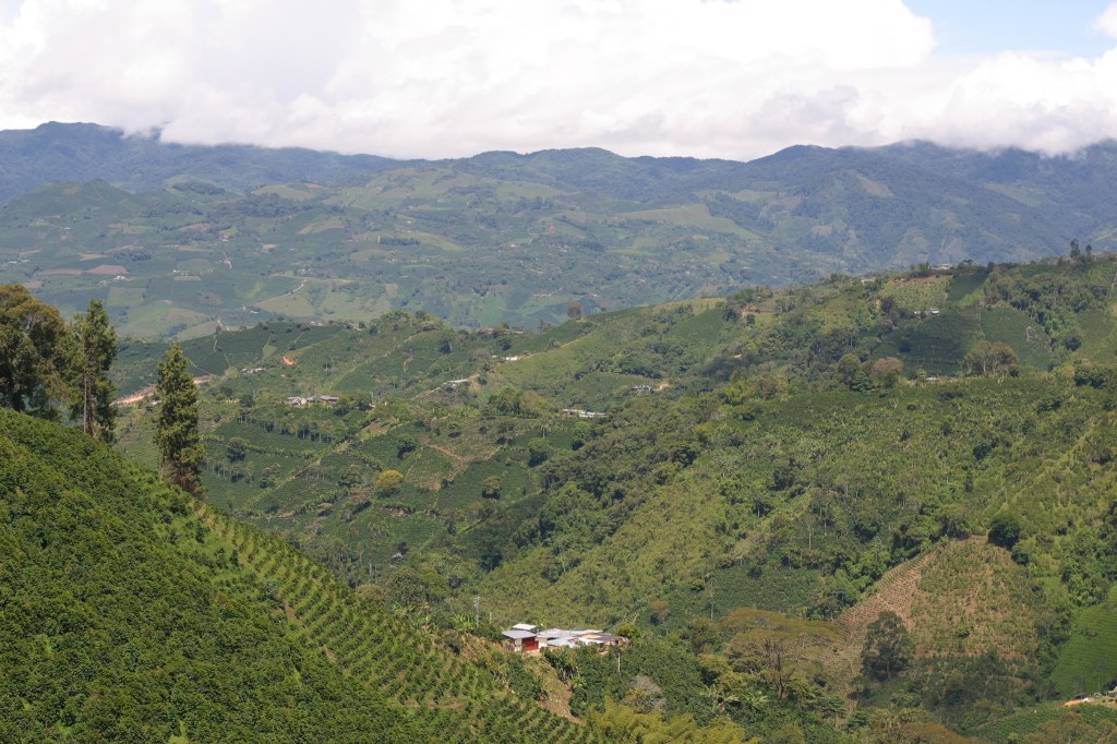 Coffee cultural landscape in Huila, making it officially not World Heritage, but pretty awesome anyway