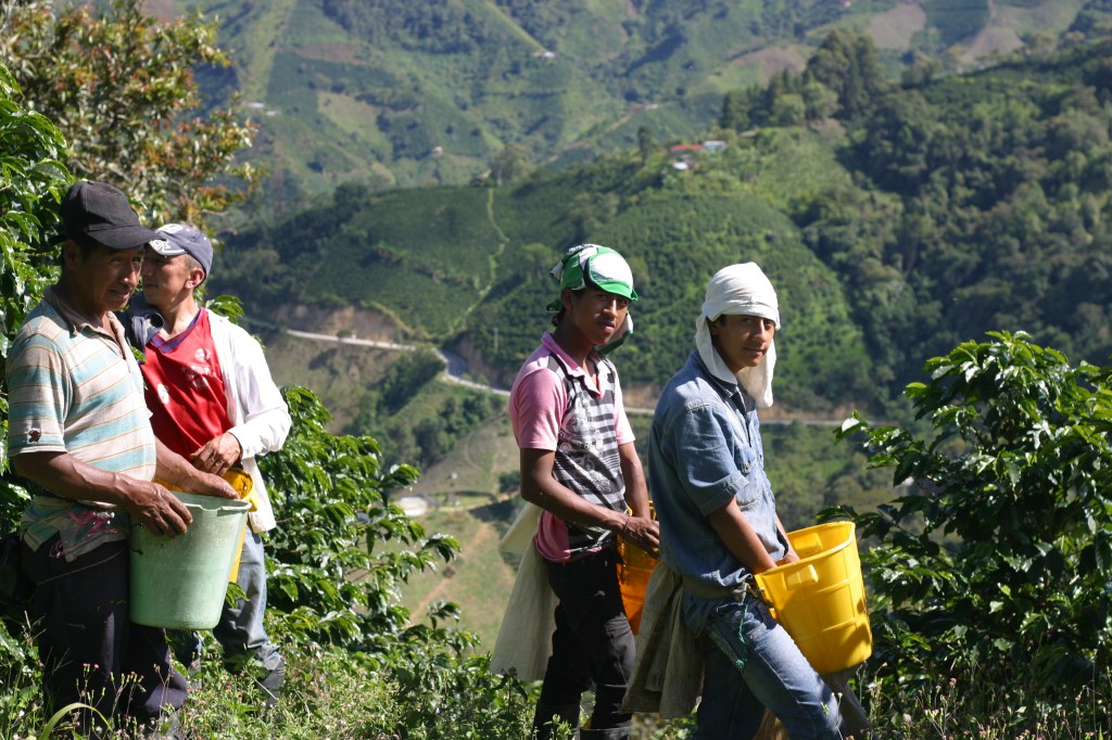 Bertolome, Adrian, Juan David, Duban. The Crew.