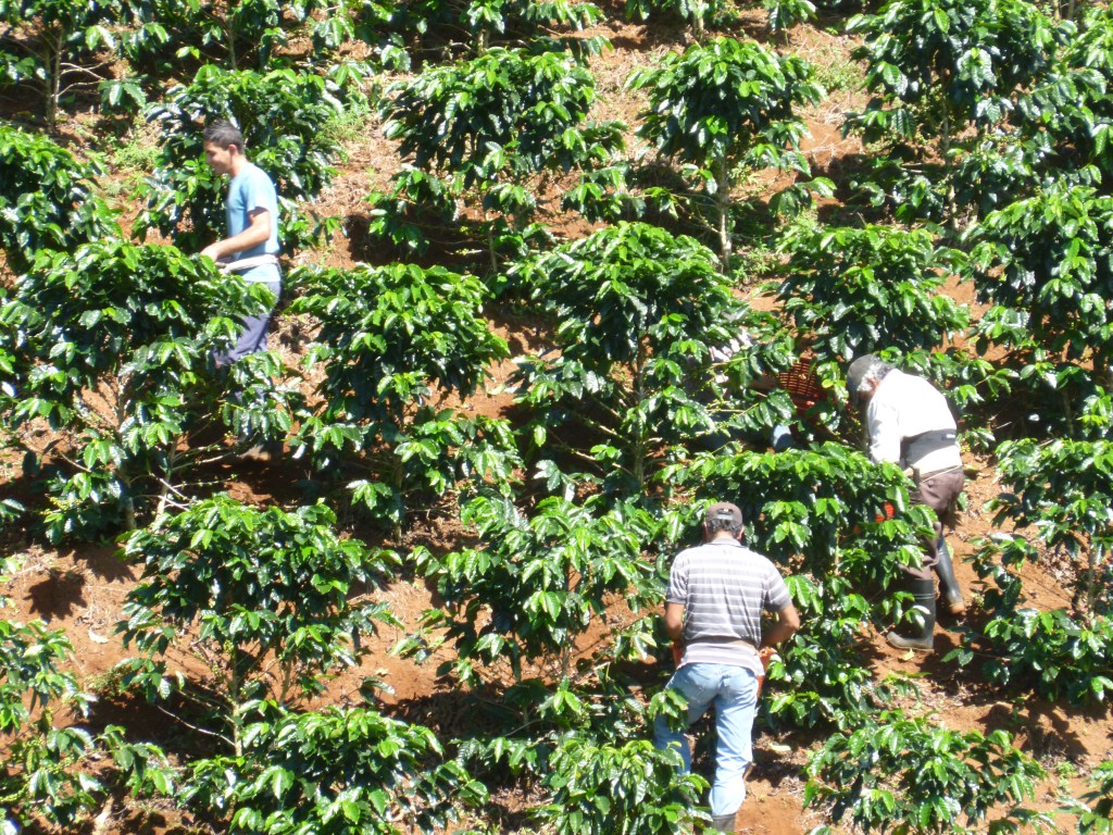 Productive coffee, productive people