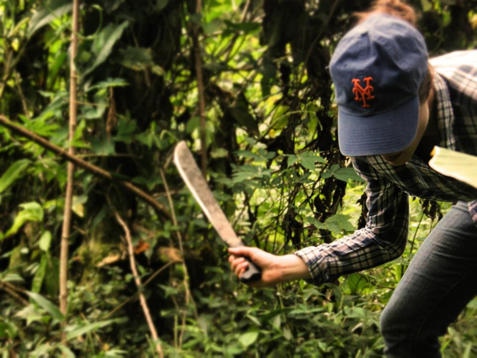 El machetazo. Rachel hacks away at the jungle of Federico's finca in the mangroves to clear space for coffee seedlings.