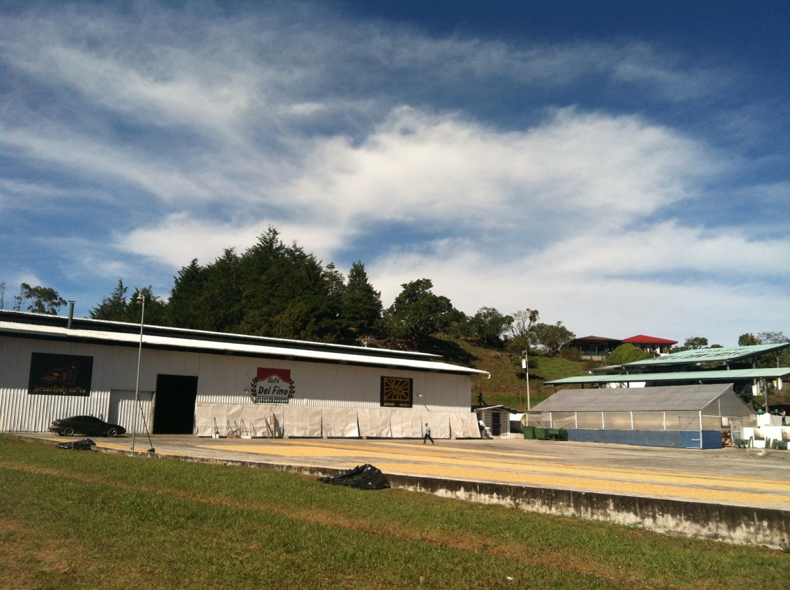 Janson family coffee mill and patios