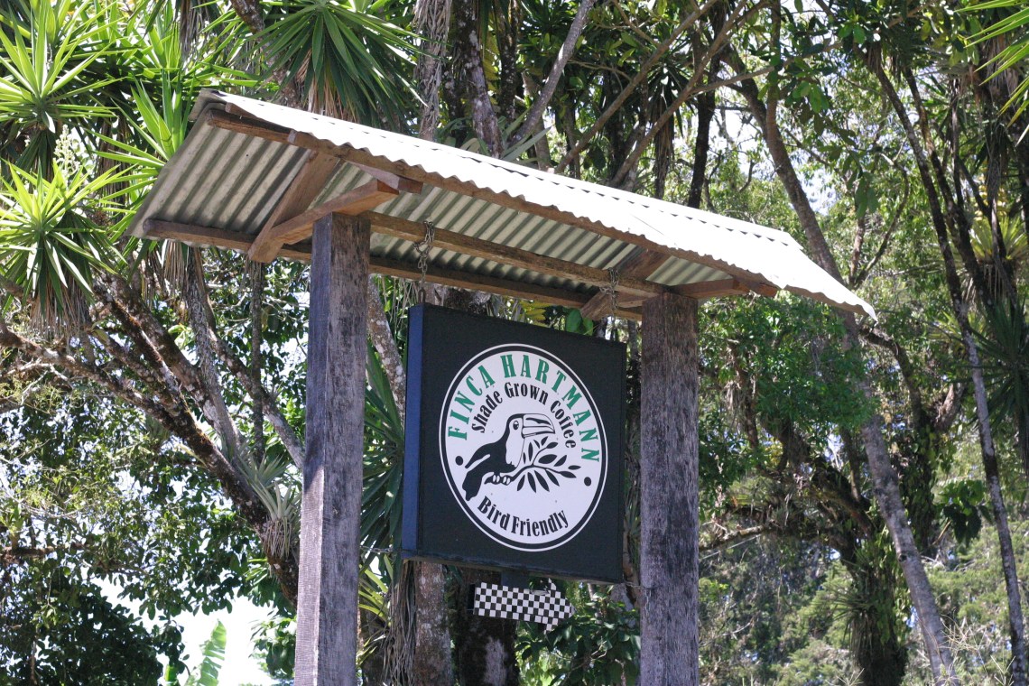 Coffee, trees, birds. Viva los Hartmann.