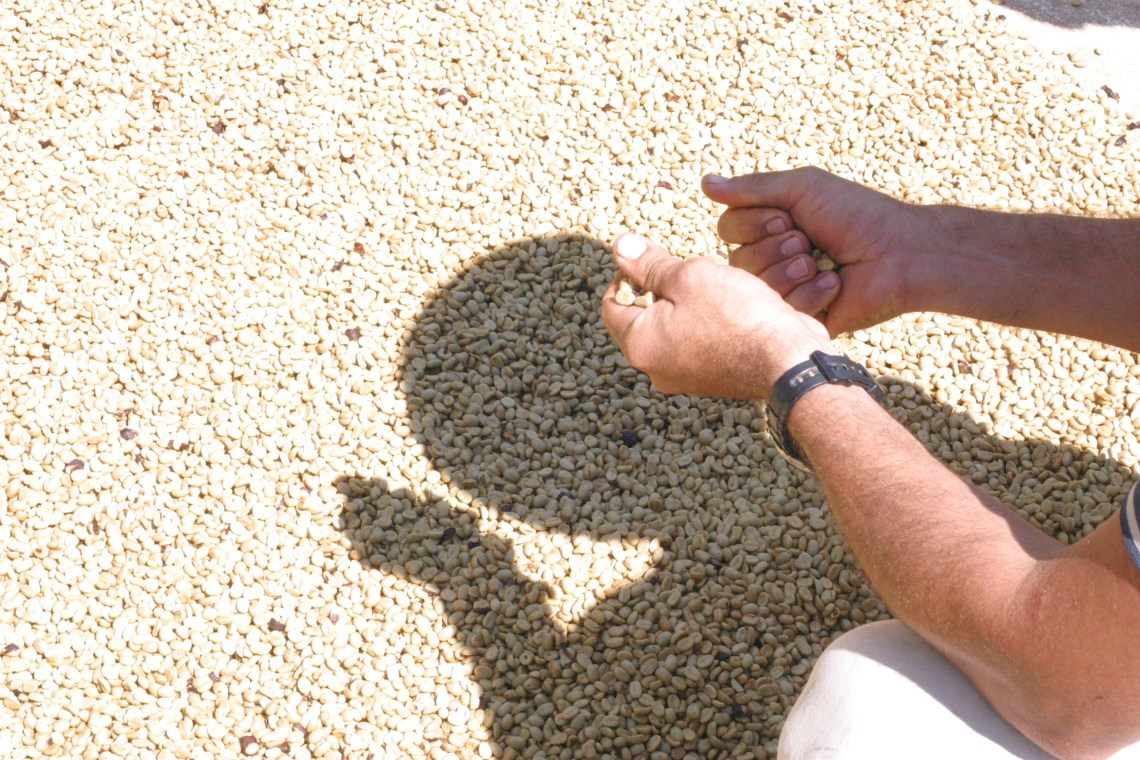 Patio coffee in Esteban's hands at La Candelilla