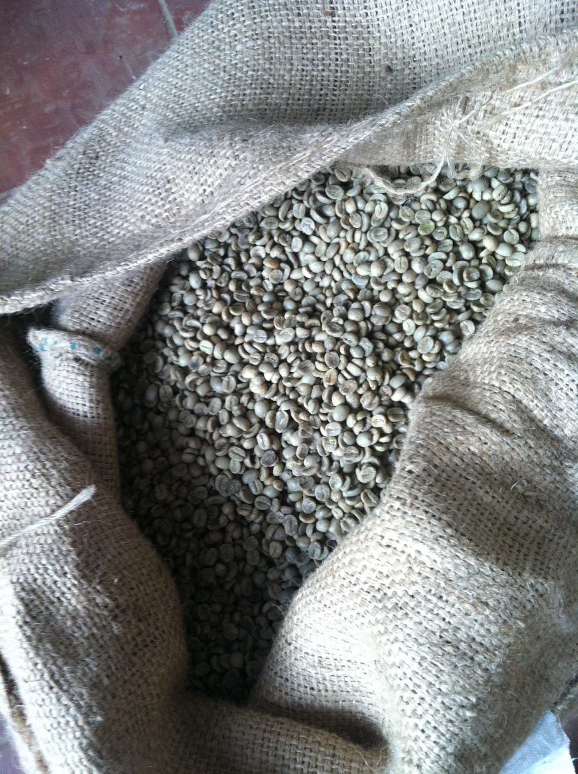 Green Santa Anita coffee