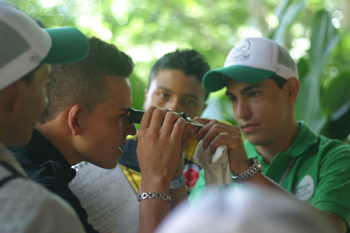 Seeing what a Brix refractometer is all about