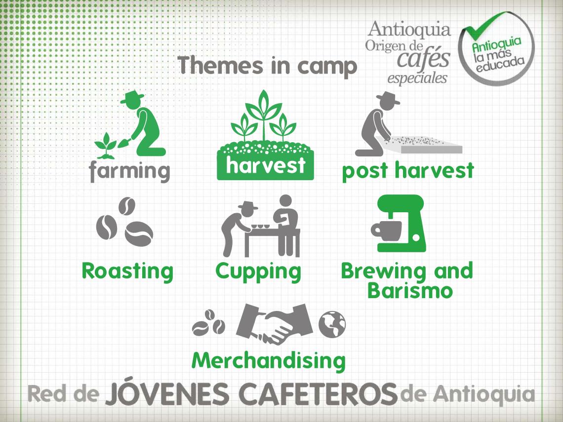 red-jovenes-ENG[1]-page-006