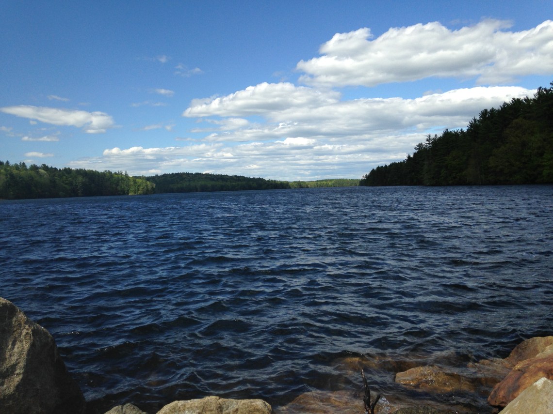 New Hampshire's placid aliveness.