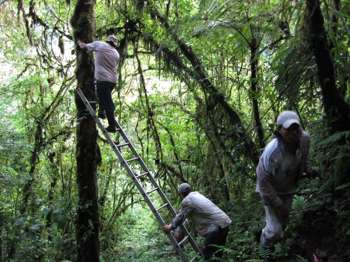 End of the road to nowhere. Turrialba, Costa Rica