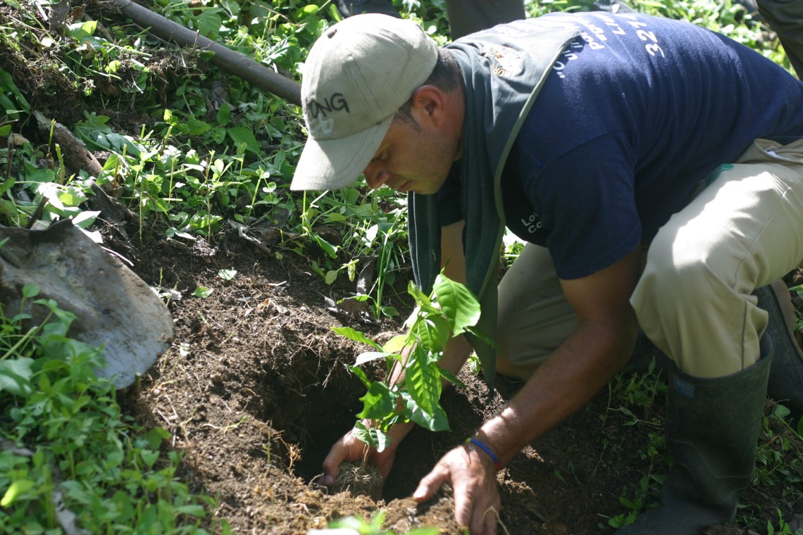 Cultivating. Trenches aren't fluffy places to be, but there is nobility not too deep below the mud of the struggle.