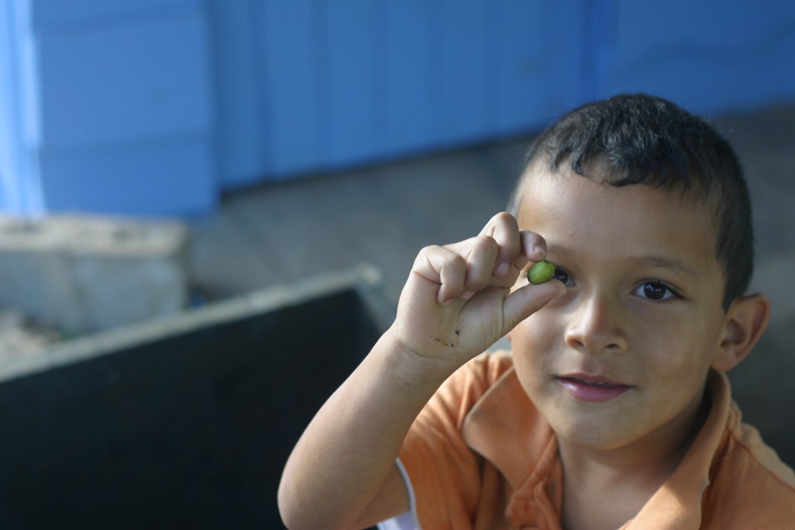 ...and their other son Alejandro. Busy scouring the beneficio for errant under ripe coffee cherries.